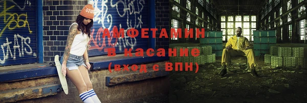 твердый Арсеньев