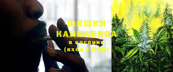ПСИЛОЦИБИНОВЫЕ ГРИБЫ Армянск