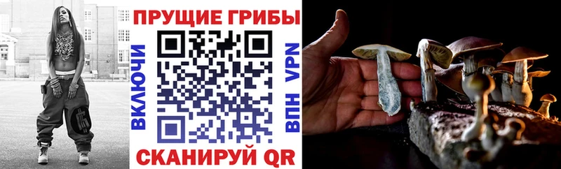 Галлюциногенные грибы GOLDEN TEACHER  Купить  Старая Русса 